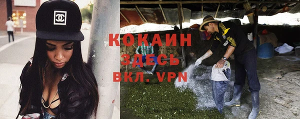 трава Покачи