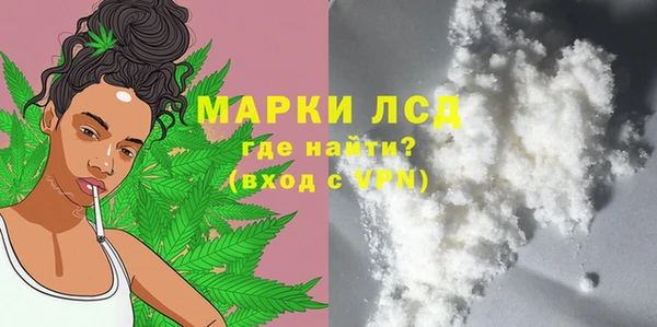 индика Алексин