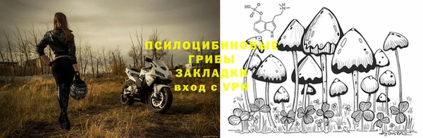 индика Алексин