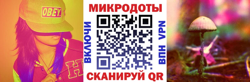 Галлюциногенные грибы Psilocybe  как найти закладки  Калининград 